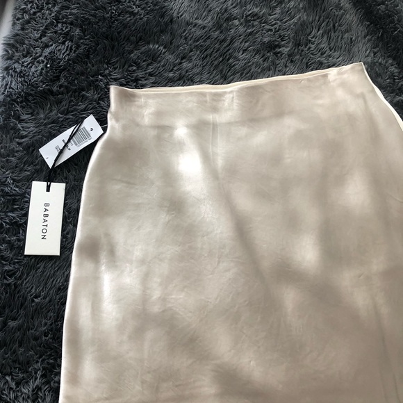 Aritzia Slip Skirt - Picture 2 of 4